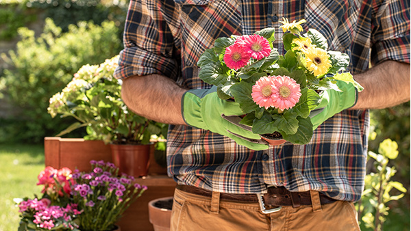 Ein schöner Garten entsteht nicht einfach mal so.